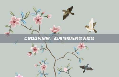 CSGO风扇房,战术与技巧的完美结合