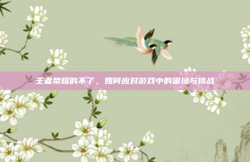 王者荣耀的不了，如何应对游戏中的困境与挑战