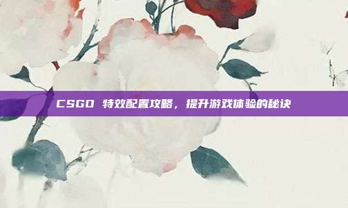 CSGO 特效配置攻略,提升游戏体验的秘诀