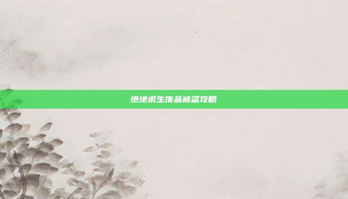 绝地求生饰品被盗攻略