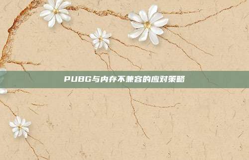 PUBG与内存不兼容的应对策略