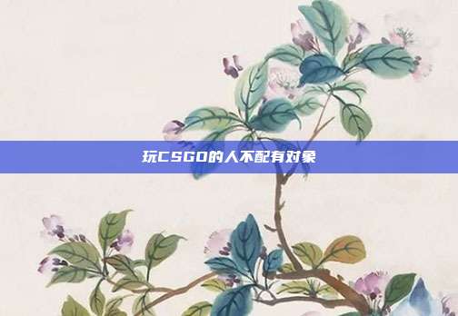 玩CSGO的人不配有对象