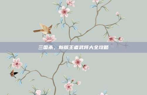 三国杀,新版王者武将大全攻略