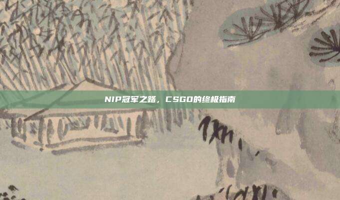 NIP冠军之路,CSGO的终极指南