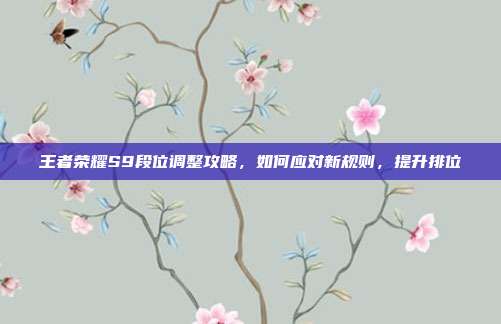 王者荣耀S9段位调整攻略,如何应对新规则,提升排位