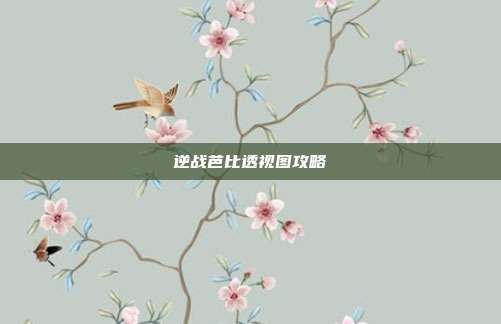 逆战芭比透视图攻略
