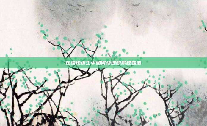 在绝地求生中如何快速积累经验值