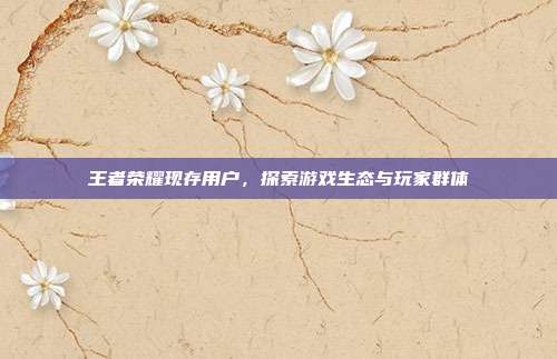 王者荣耀现存用户,探索游戏生态与玩家群体