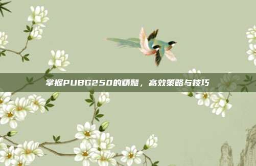 掌握PUBG250的精髓,高效策略与技巧