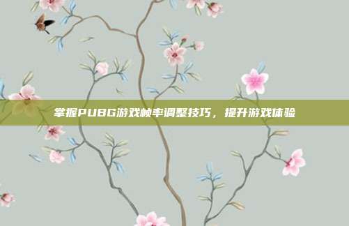 掌握PUBG游戏帧率调整技巧,提升游戏体验