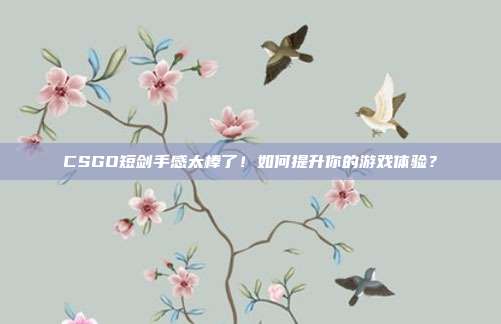 CSGO短剑手感太棒了!如何提升你的游戏体验?