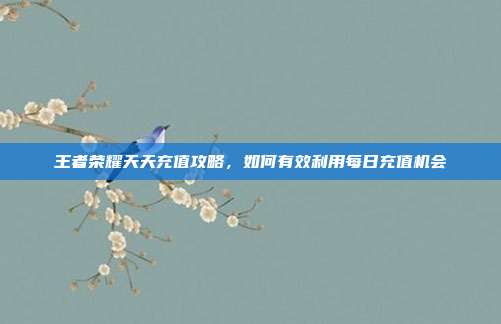 王者荣耀天天充值攻略,如何有效利用每日充值机会