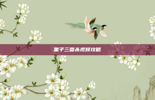 黑子三国杀视频攻略