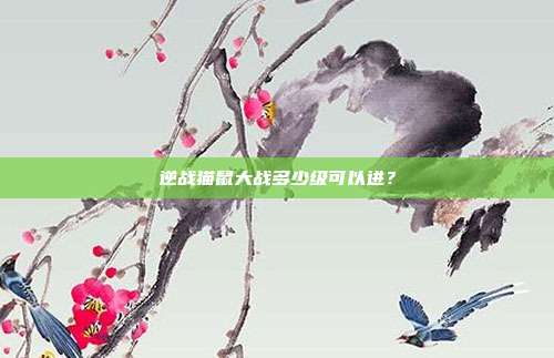 逆战猫鼠大战多少级可以进?