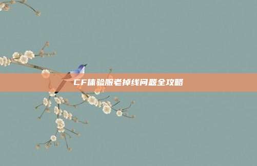CF体验服老掉线问题全攻略