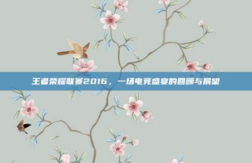 王者荣耀联赛2016,一场电竞盛宴的回顾与展望