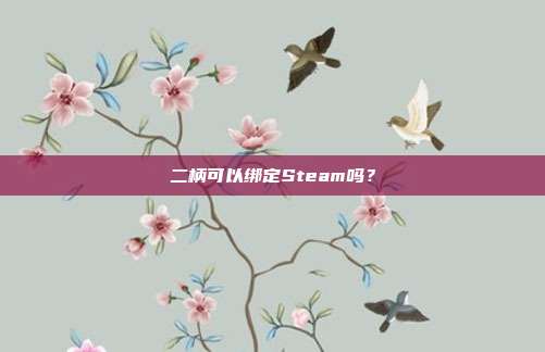二柄可以绑定Steam吗？