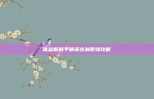 体验服和平精英吉利靶场攻略