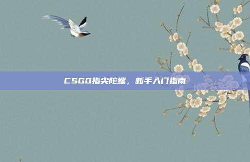 CSGO指尖陀螺,新手入门指南