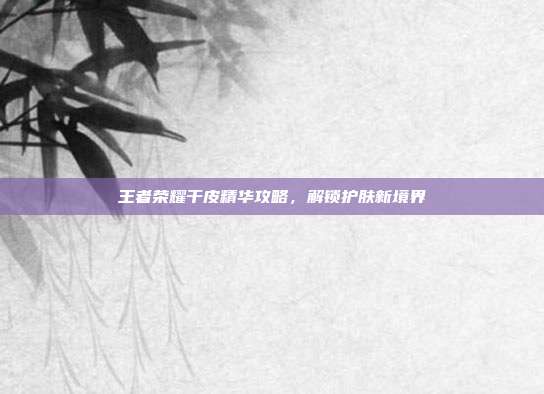 王者荣耀干皮精华攻略,解锁护肤新境界