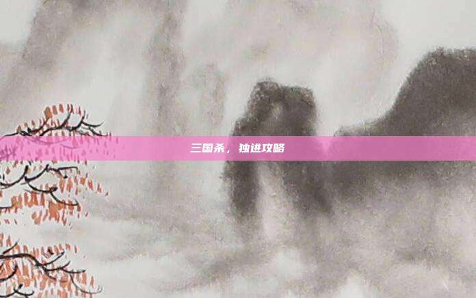 三国杀，独进攻略