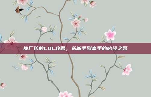 敖厂长的LOL攻略,从新手到高手的必经之路