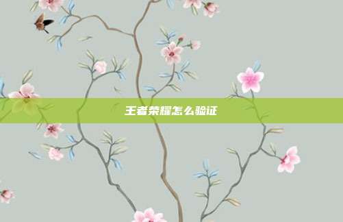王者荣耀怎么验证