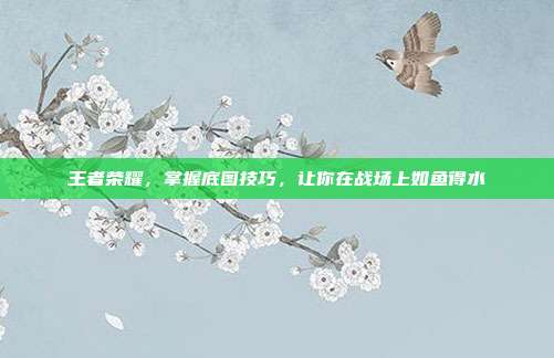 王者荣耀,掌握底图技巧,让你在战场上如鱼得水