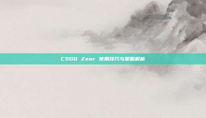 CSGO Zeor 使用技巧与策略解析
