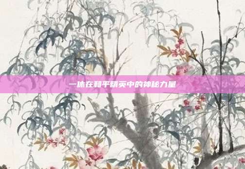 一休在和平精英中的神秘力量