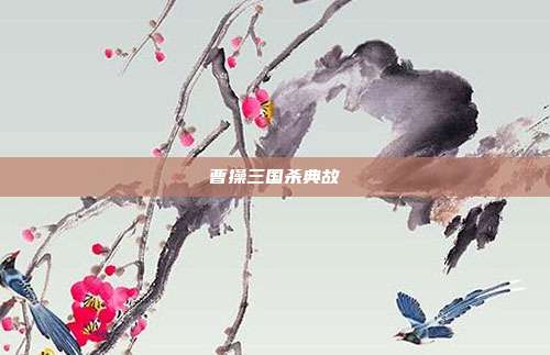 曹操三国杀典故