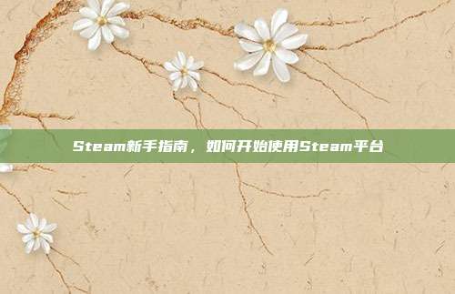 Steam新手指南,如何开始使用Steam平台