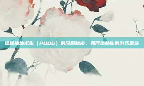 揭秘绝地求生（PUBG）的隐藏秘密，如何追踪你的游戏足迹