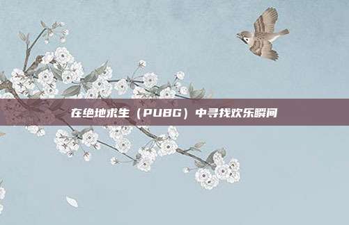 在绝地求生(PUBG)中寻找欢乐瞬间