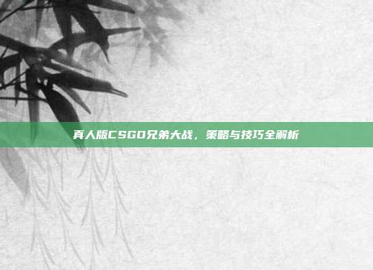 真人版CSGO兄弟大战，策略与技巧全解析