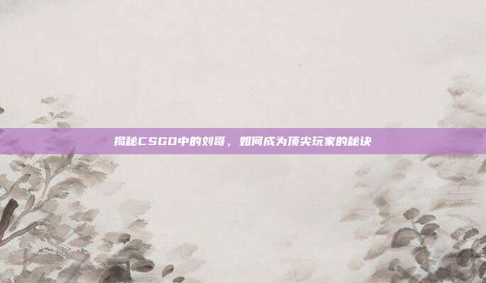 揭秘CSGO中的刘哥，如何成为顶尖玩家的秘诀