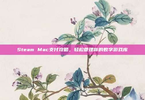 Steam Mac支付攻略,轻松管理你的数字游戏库