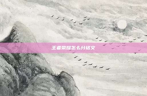 王者荣耀怎么分铭文