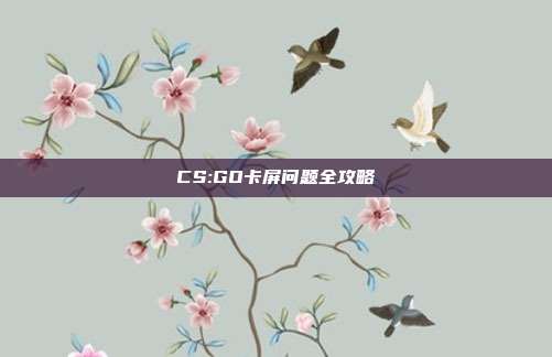 CS:GO卡屏问题全攻略