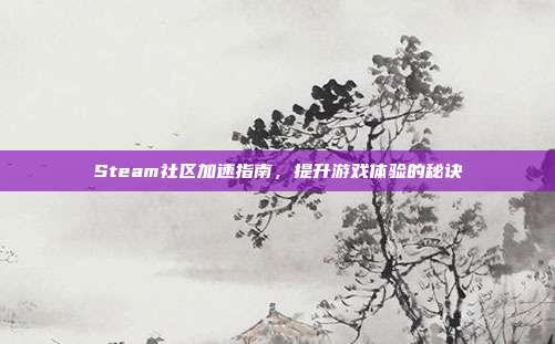 Steam社区加速指南,提升游戏体验的秘诀