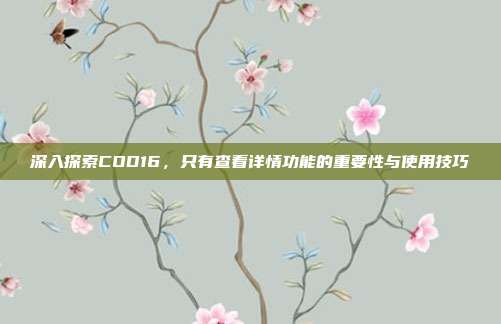 深入探索COD16,只有查看详情功能的重要性与使用技巧