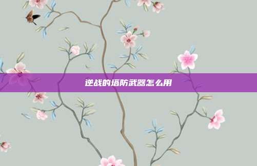 逆战的塔防武器怎么用