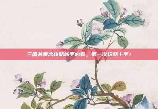 三国杀黄忠攻略新手必看，第一次玩就上手！