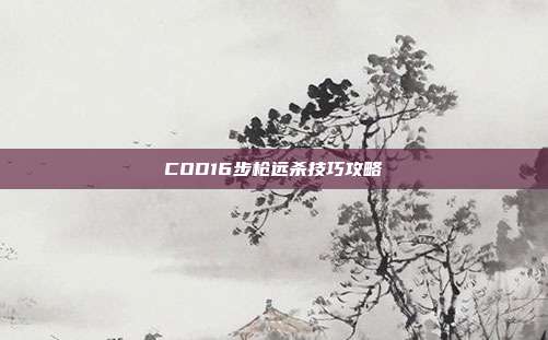 COD16步枪远杀技巧攻略