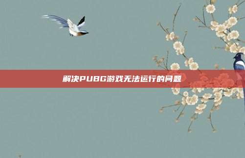 解决PUBG游戏无法运行的问题