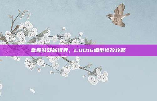 掌握游戏新境界，COD16模型修改攻略