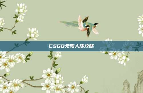 CSGO无限人质攻略