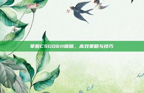 掌握CSGO611模版，高效策略与技巧