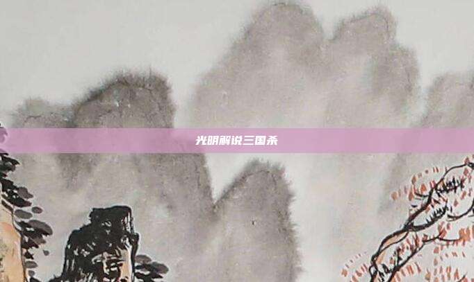 光明解说三国杀