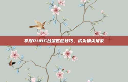 掌握PUBG台服匹配技巧，成为顶尖玩家